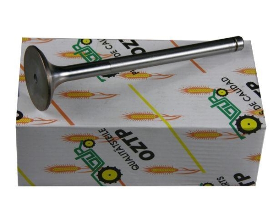 Zawór ssący głowicy 3055056R2 Case/IHC