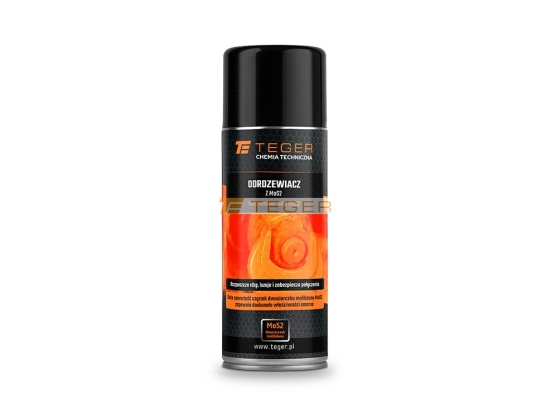 Odrdzewiacz z MOS2 400ml / TEGER