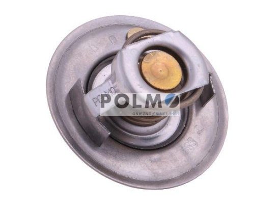 Termostat 6005012123 RENAULT POLMO