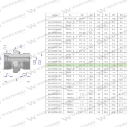 Przyłączka hydrauliczna BB (XGE) M18x1.5 12L x 1/2" BSP ED Waryński ( sprzedawane po 10 )