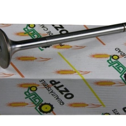 Zawór ssący głowicy 3055056R2 Case/IHC