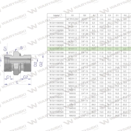 Przyłączka hydrauliczna BB (XGE) M16x1.5 10L x 1/4" BSP ED Waryński ( sprzedawane po 5 )