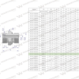 Przyłączka hydrauliczna BB (XGE) M30x2 22L x 1/2" BSP ED Waryński ( sprzedawane po 2 )