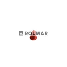 Filterek filtr rozpylacza RAU szczelinowy Opryskiwacz (sprzedawane po 25)