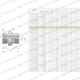 Przyłączka hydrauliczna BB (XGE) M14x1.5 08L x 1/2" BSP ED Waryński ( sprzedawane po 5 )