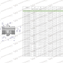 Przyłączka hydrauliczna BB (XGE) M12x1.5 06L x 1/8" BSP ED Waryński ( sprzedawane po 10 )