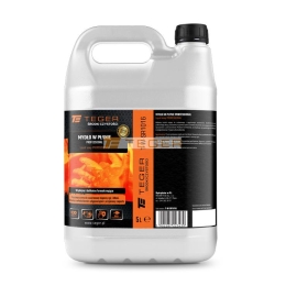 Mydło w płynie PROFESSIONAL 5l / TEGER