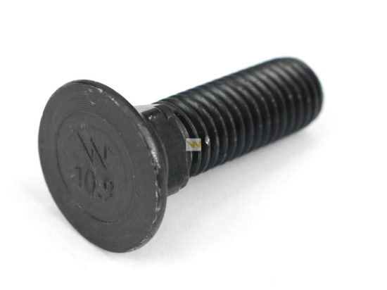 Śruba płużna podsadzana D 608 M10x30 mm kl.10.9 Waryński ( sprzedawane po 10kg )