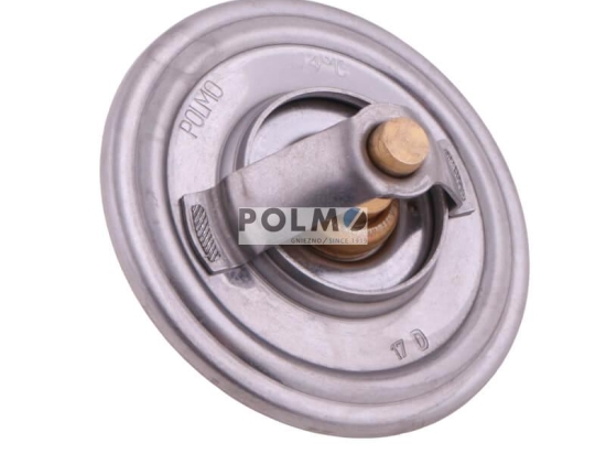 Termostat SW400 Bizon POLMO