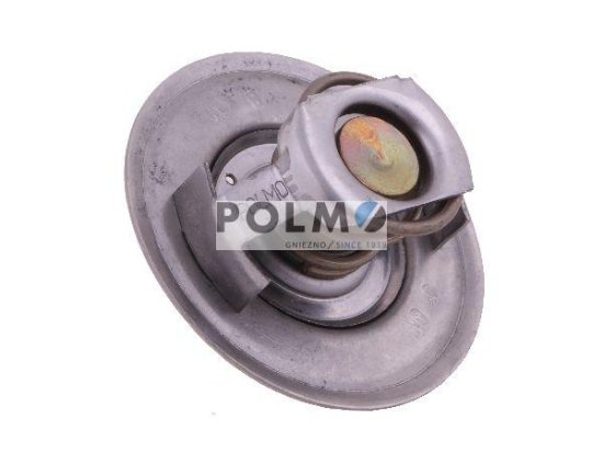 Termostat 895311H1 David Brown CASE POLMO